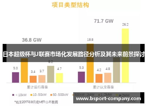 日本超级杯与J联赛市场化发展路径分析及其未来前景探讨