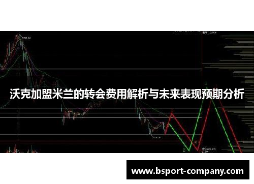 沃克加盟米兰的转会费用解析与未来表现预期分析